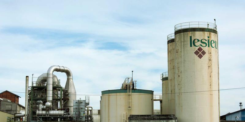 探秘黄龙888:四川旅游不可错过的珍稀动植物王国全记录