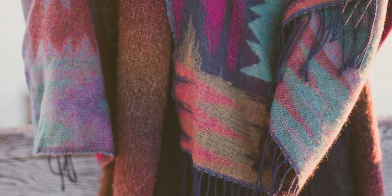 黄龙秘境植物探幽：高山杜鹃与钙华蕨类的生存智慧 | 深度生态攻略